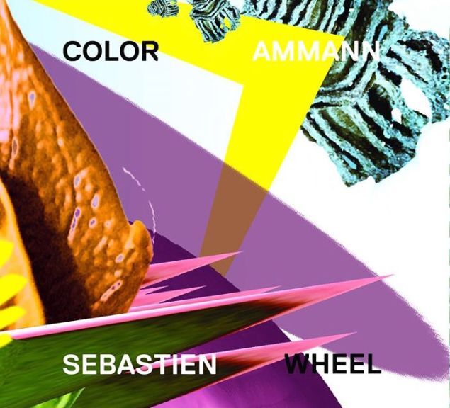 Sebastien Ammann's Color Wheel.