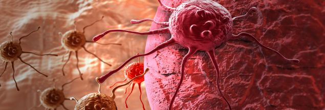 Cancer cells.