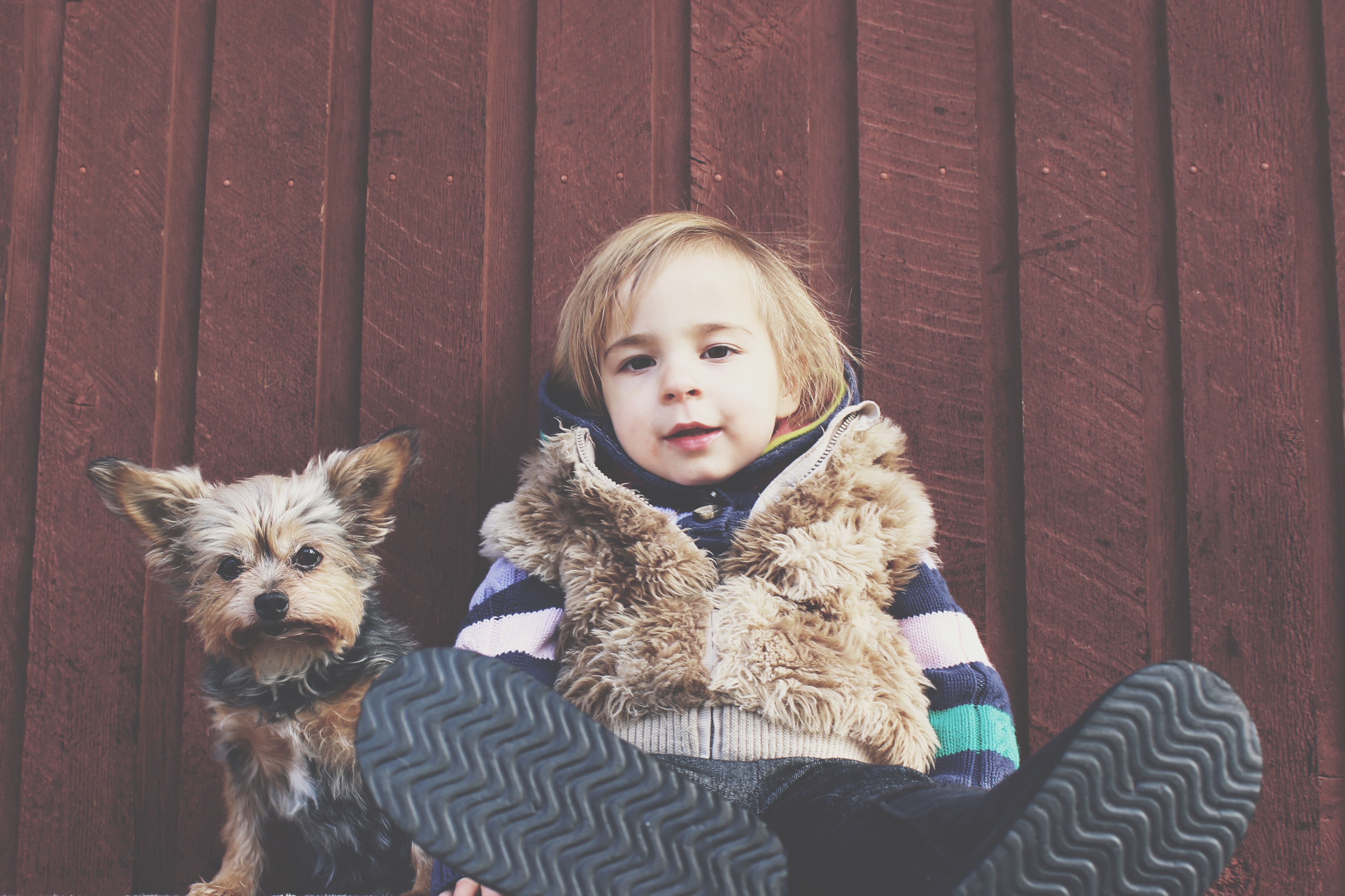 Dogs with cancer are helping kids.