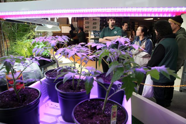 WASHINGTON, DC - MARCH 30: People listen to hydroponic expert Adam Rich (L) to introduce hydroponic plant growing system in the weGrow marijuana cultivation supply store during its grand opening March 30, 2012 in Washington, DC. The store provides one-stop-shopping for supplies and training to grow plants indoors, from tomatoes to medical marijuana, though not the actually marijuana plants or seeds. DC government announced that it has picked six companies to grow marijuana and sell medical cannabis to registered patients. (Photo by Alex Wong/Getty Images)