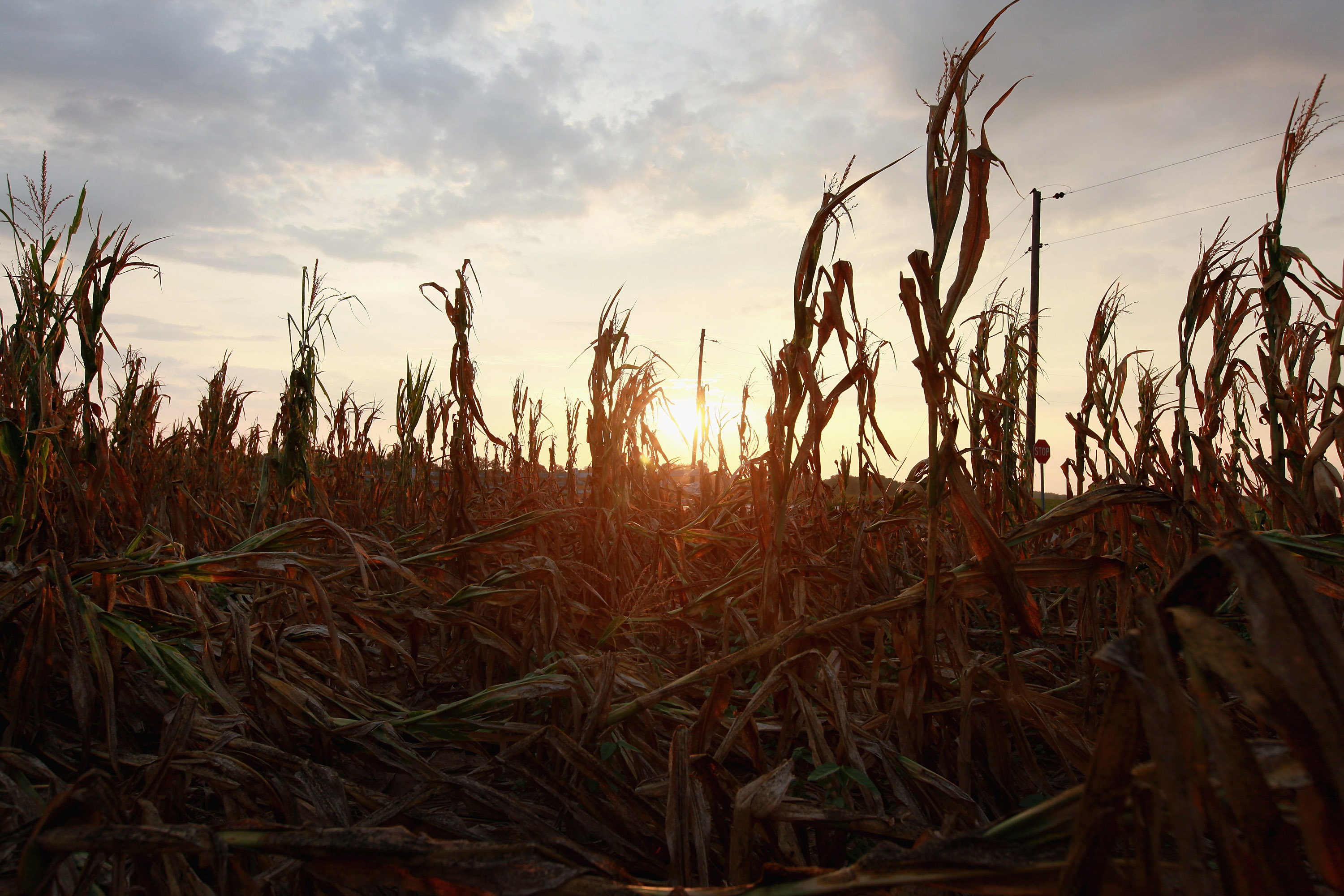 One primary concern in rural areas: higher temperatures put strain on water and energy sources.