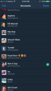 A screenshot Rapp sent the Observer showing accounts in the Iconic network. Several of these have well over a million followers.