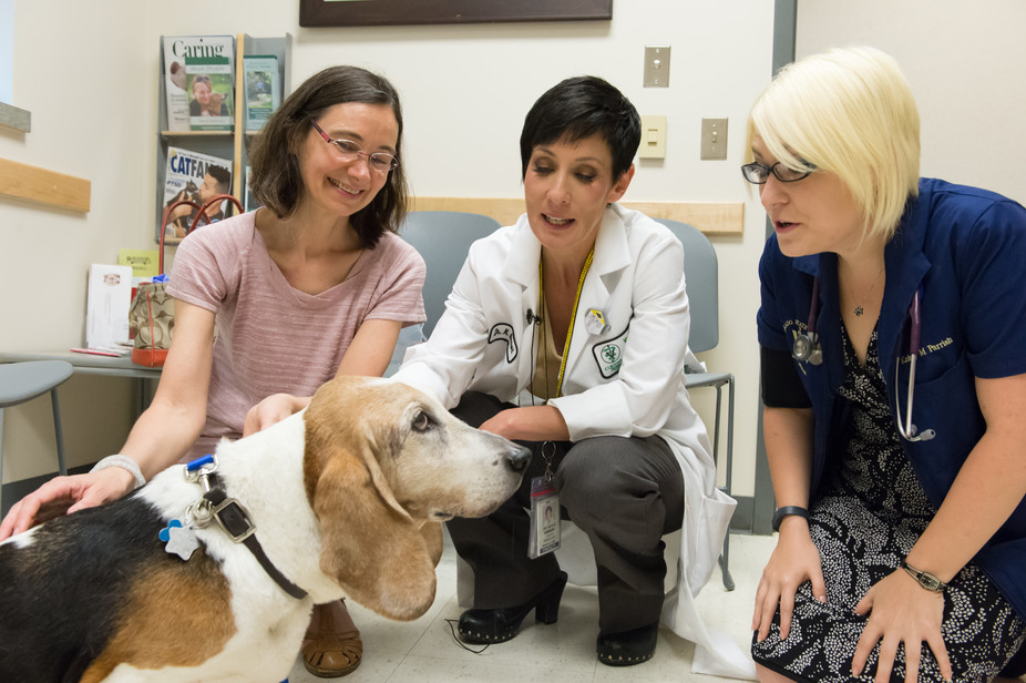 The author, center, and Dr. Anna Conti, left, and student Kelsey Parrish with Conti’s Basset hound, Picasso, who had surgery for cancer. Via Colorado State University.