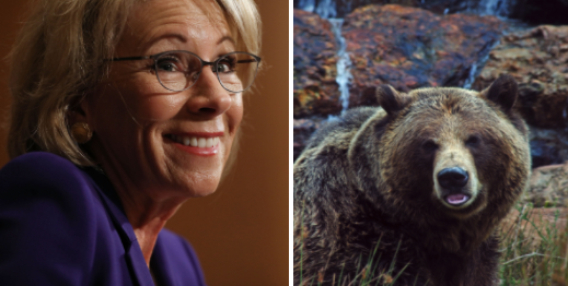 Which one is more qualified?