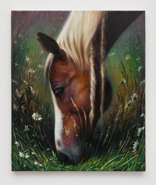 TM Davy, horse (xxx), 2016.