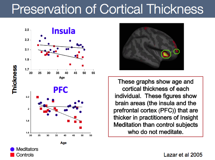 Neuroscience of Mindfulness Meditation in 4 minutes 