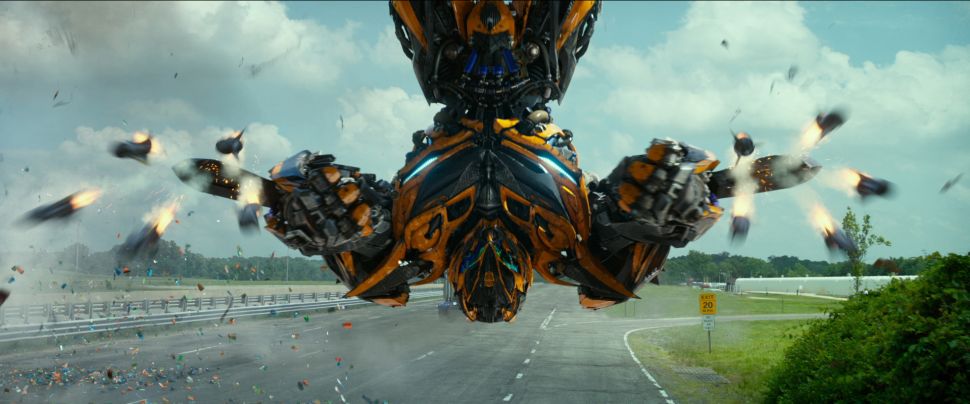 Bumblebee solo movie