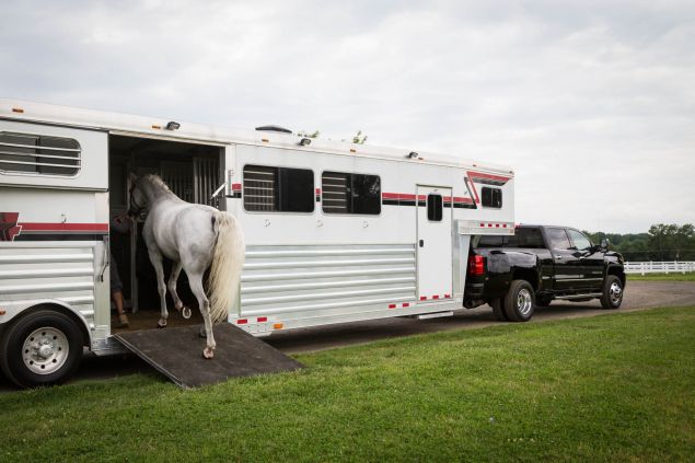 GMC Denali Trucks at the Desiderio Tranquility Horse Farm. Photographed on 11 August 2017. Photo: