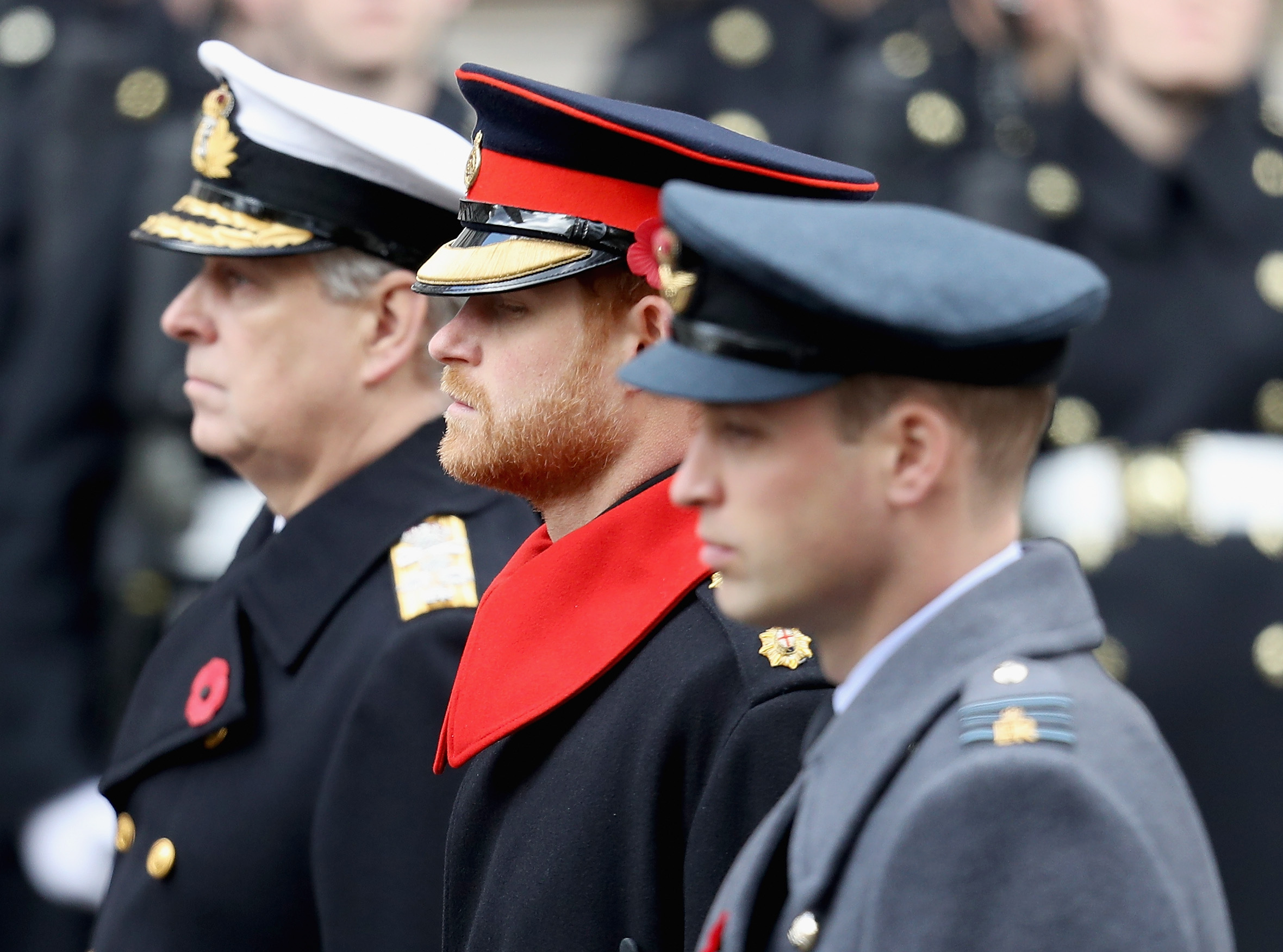 prince harry beard