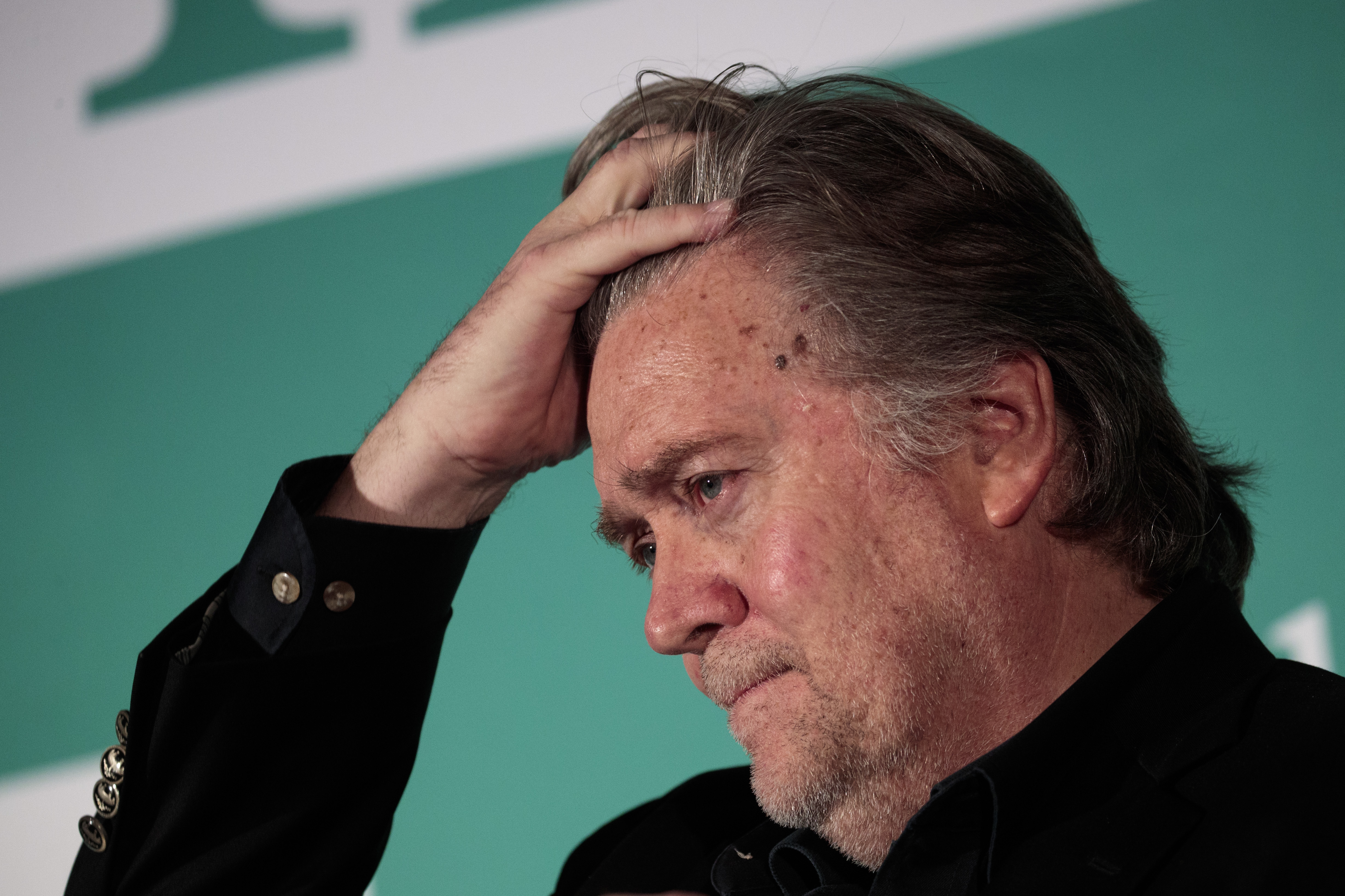 Steve Bannon Fox News Breitbart