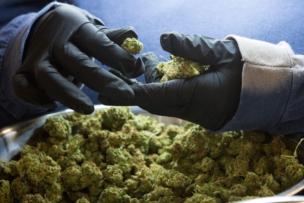 Marijuana Lawsuit Could Completely Change Federal Pot Policy