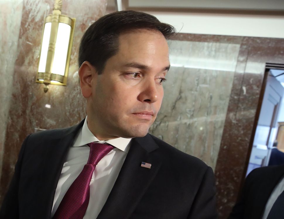 TV Ratings CNN Town Hall Marco Rubio