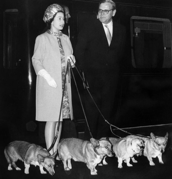 queen elizabeth corgis