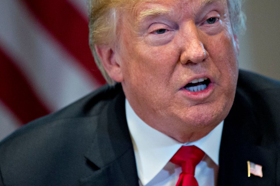 Donald Trump Movies
