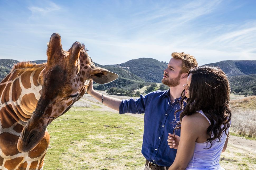 prince harry meghan markle movie sunday