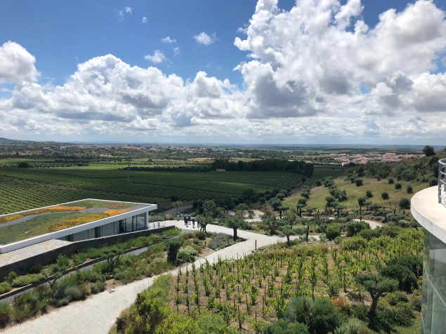 An aerial view of the art space Quinta do Quetzal with its vineyards in the background.