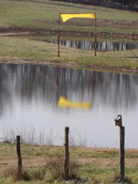 The grounds at Yellow Bird Art Scape.