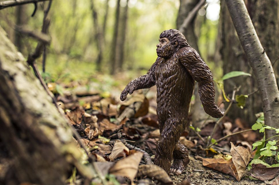 bigfoot