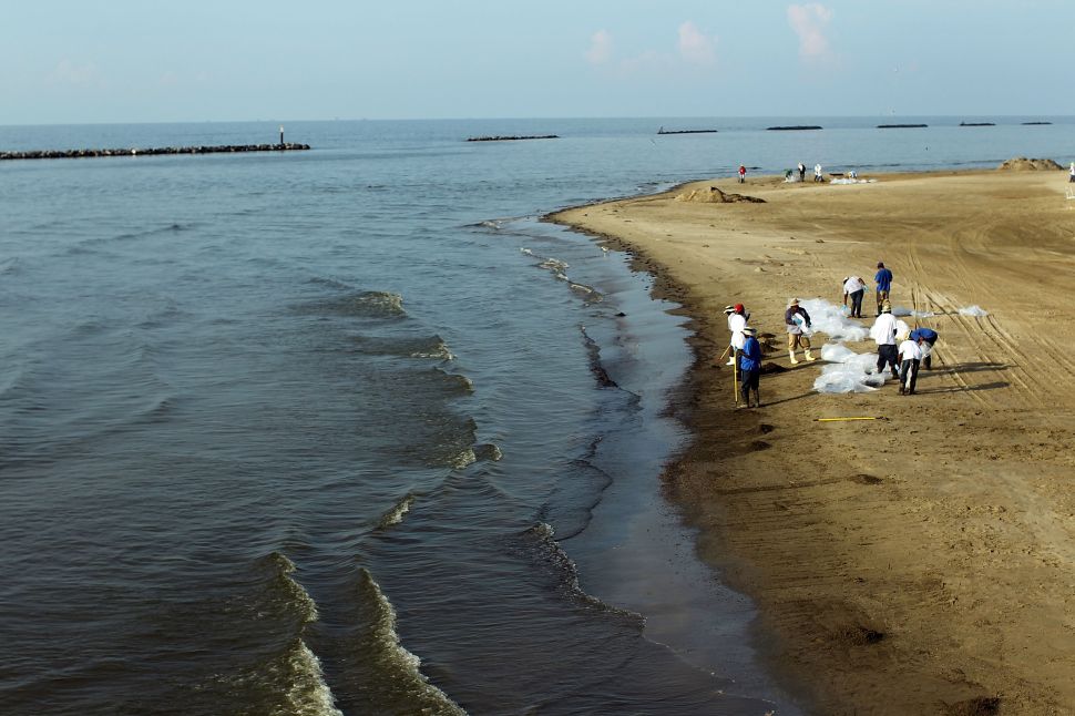 Oil clean-up contractors work on a contaminated beach June 16, 2010 in Grand Isle, Louisiana.