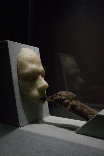 Detail View of 'Duck's Breath' from the exhibt, Tell the Bees... Belief, Knowledge, and Hypersymbolic Cognition - Credit MJT