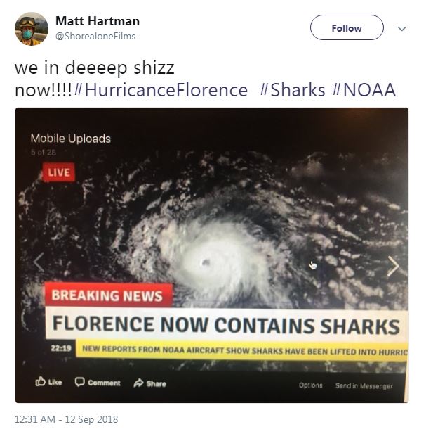 Hurricane Florence is not a 'sharknado.'