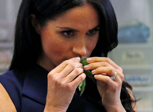 Meghan Markle and Prince Harry