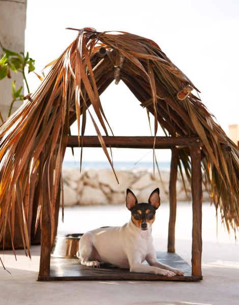 Courtesy of Viceroy Riviera Maya