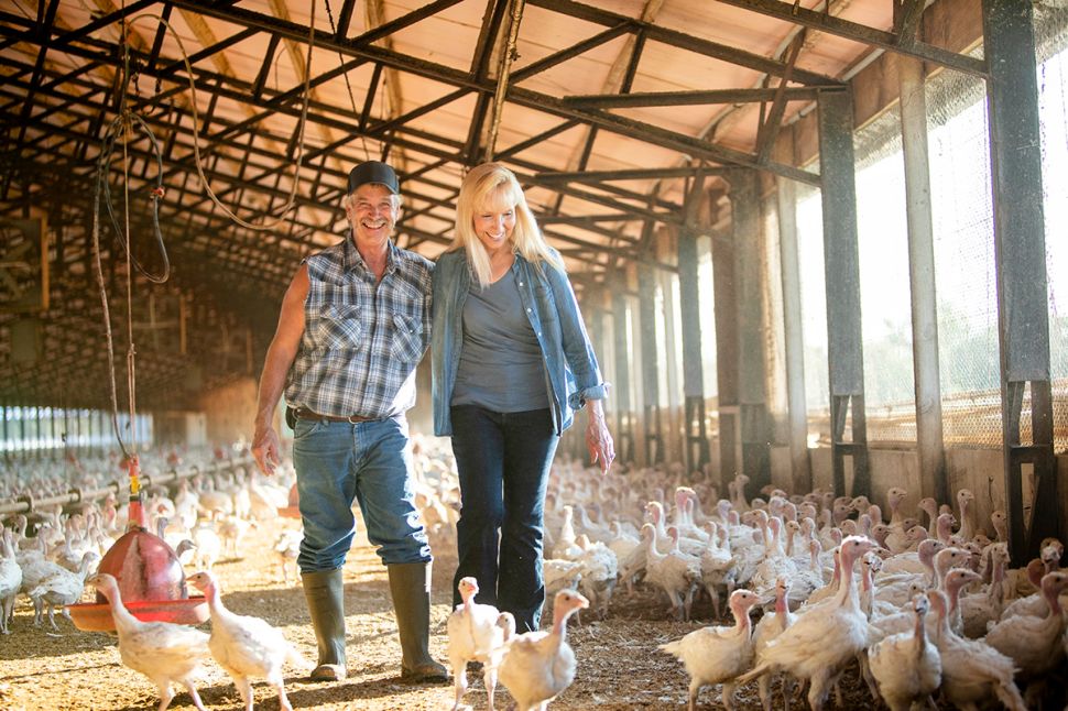 The Albertson's farm has been supplying over 60,000 turkeys a year to Cargill since 1995.