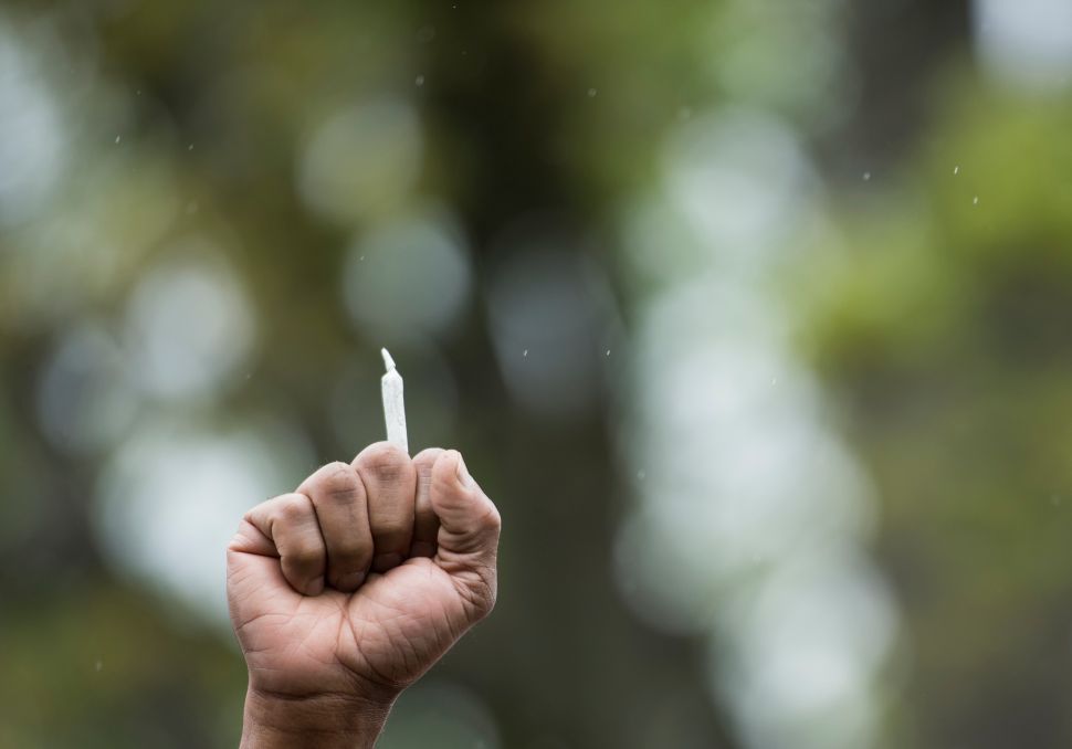 A man holds a marijuana joint in his clenched fit during the DCMJ.org marijuana protest in front of the U.S. Capitol on Monday, April 24, 2017. 