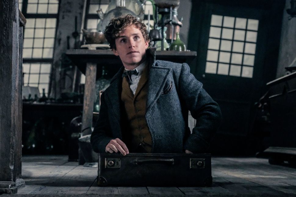 Harry Potter Netflix WarnerMedia Streaming Service