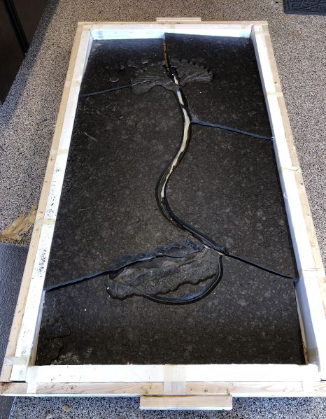 The fossil as it arrived after shipping.