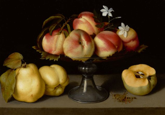 Fede Galizia, A Glass Compote With Peaches, Jasmine Flowers, Quinces, And A Grasshopper. Oil on panel.