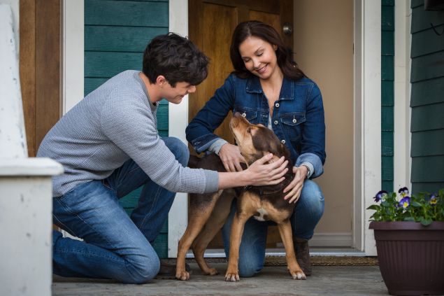 Jonah Hauer King, Shelby the dog and Ashley Judd in A Dog's Way Home.