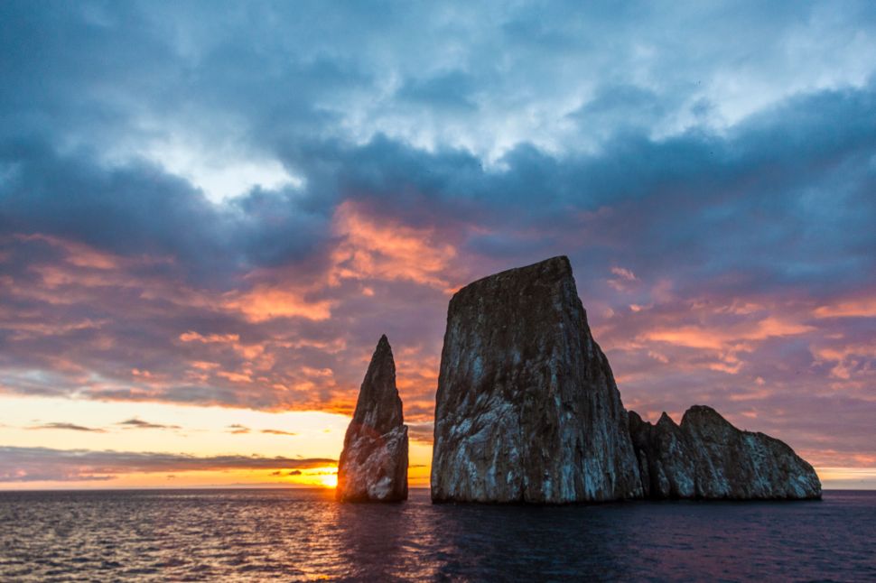 Galápagos Islands: Lindblad’s 10-Day Voyage Includes Sea Lions, Diving ...