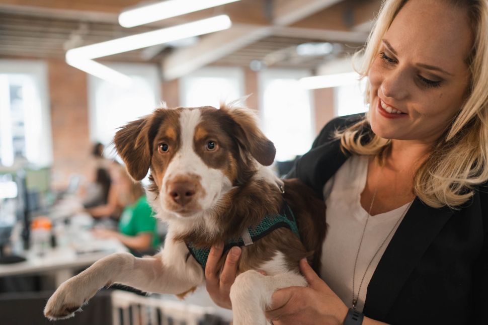 A Rover employee with her dog.