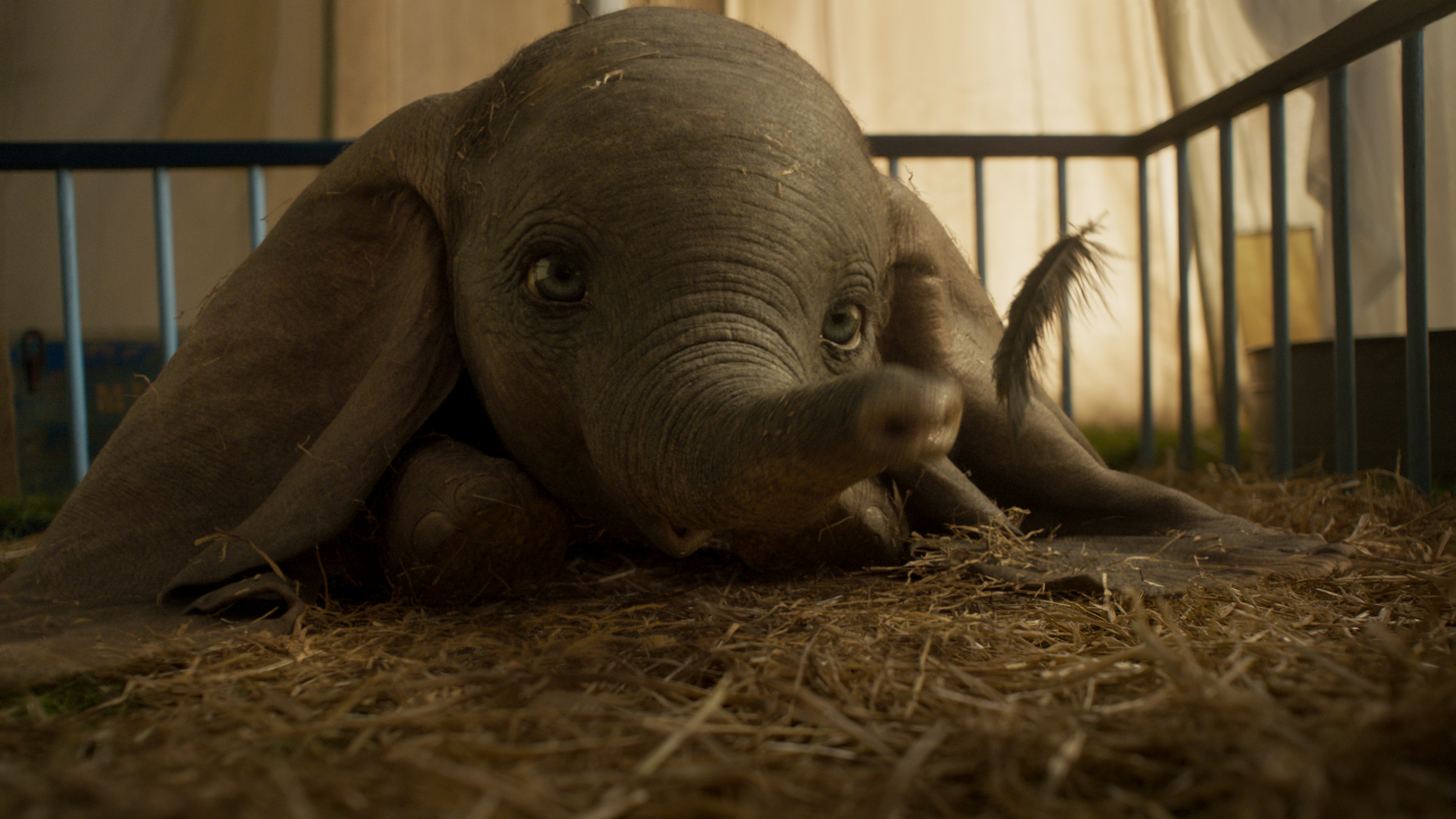 Dumbo Movie Review Disney+ Details