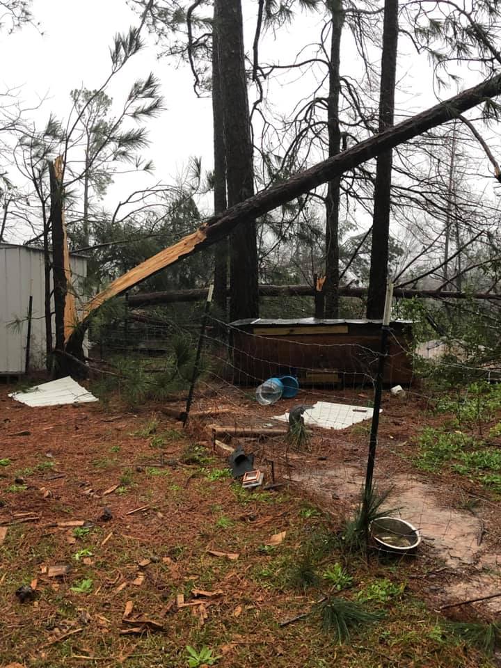 Storm damage in Columbus.