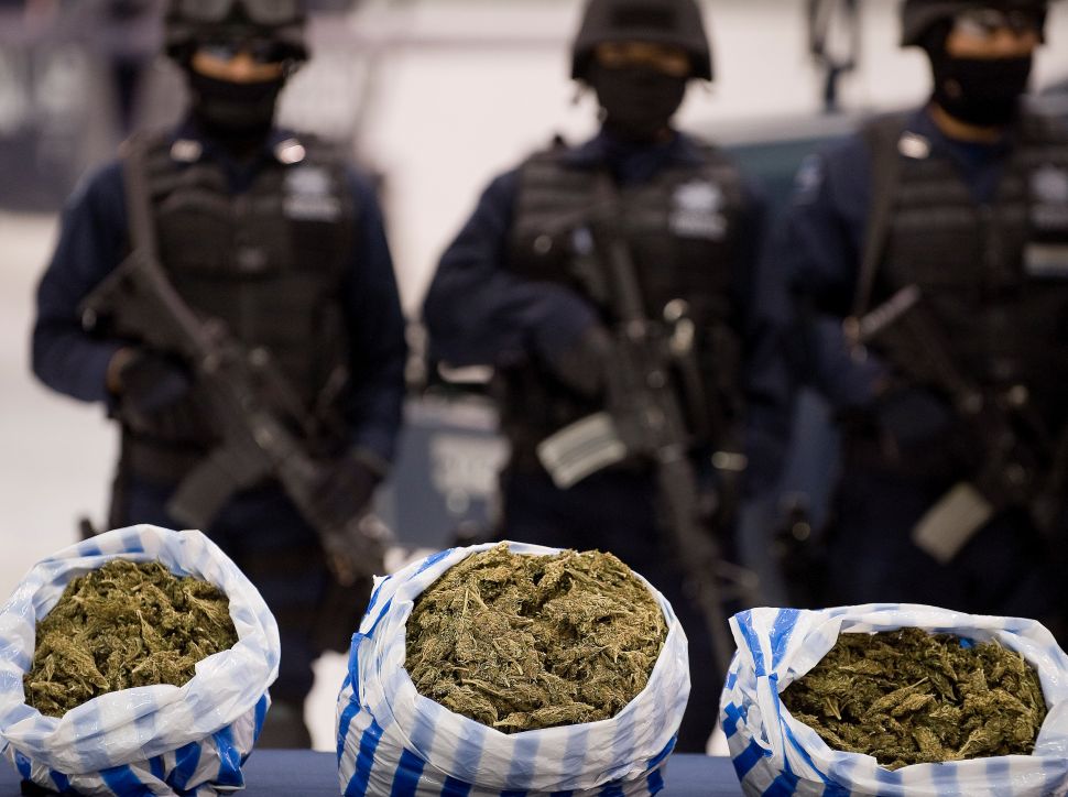 Cops love marijuana but are absolutely apoplectic, despondent and bereft to know that it is becoming legal. Here's why.