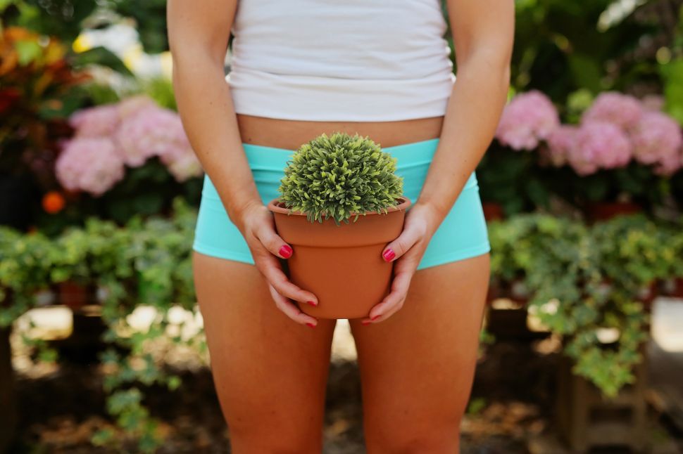 According to industry experts, the global waxing industry is a nearly ten billion dollar endeavor, with nearly a quarter of that revenue being generated in the United States.