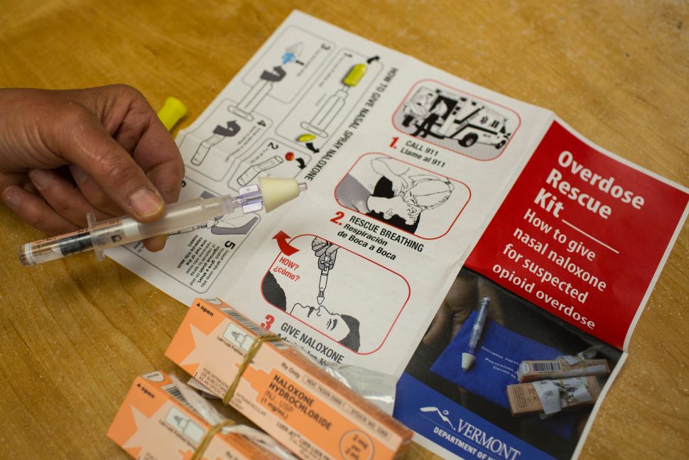 View of an 'Overdose Rescue Kit,' which includes naloxone, a syringe for nasal atomization and instructions.