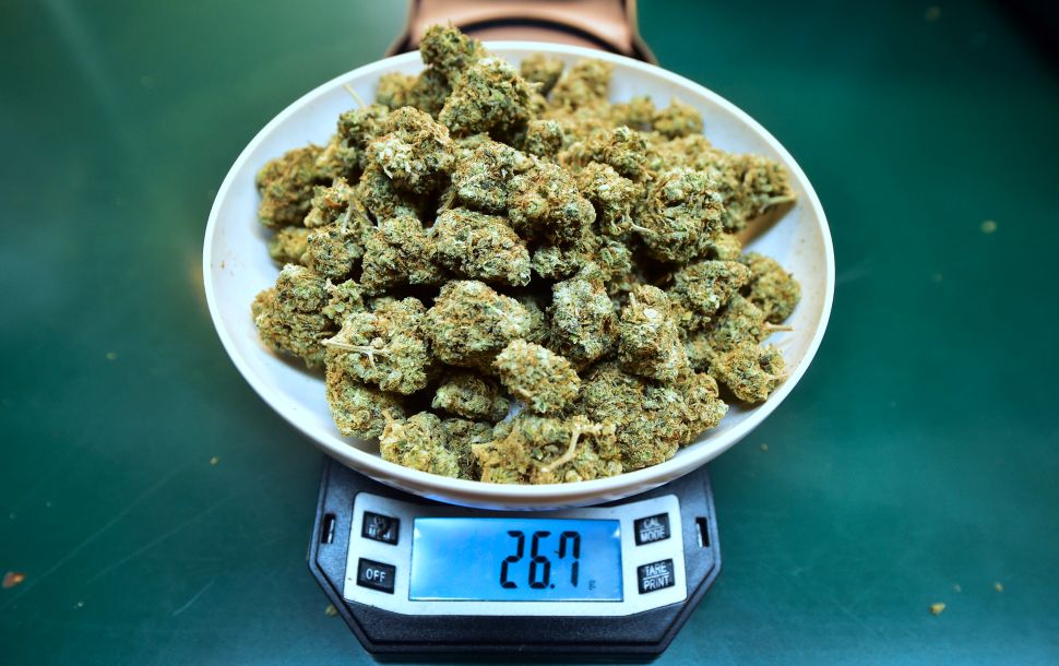 Ten states and the District of Columbia have legalized small amounts of cannabis for adult recreational use.