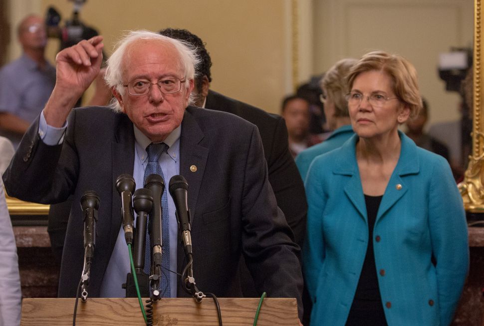 2020 Democratic candidates Bernie Sanders and Elizabeth Warren.