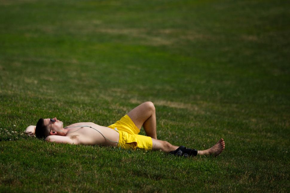 A sunbather in Prospect Park.