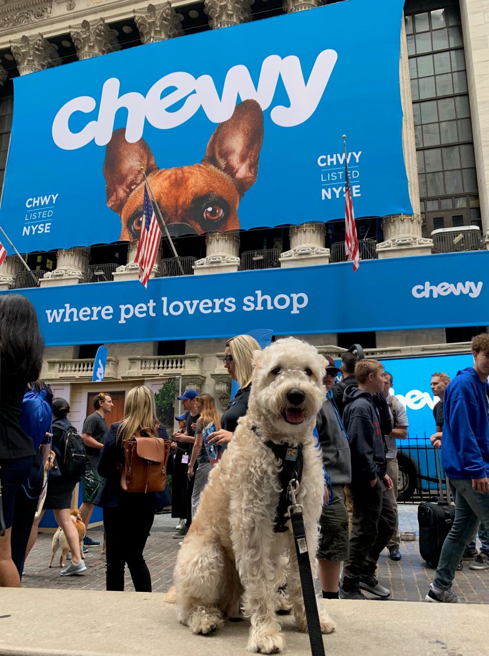 Wheaton Terrier Benji Borden Albanese sits outside the NYSE at Chewy's IPO bell ringing.