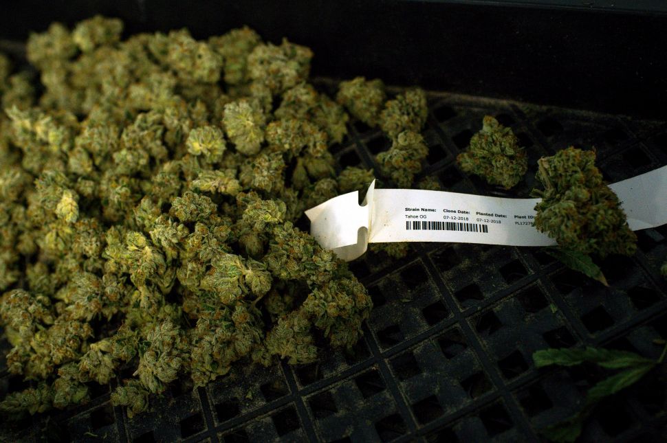 cannabis track-and-trace