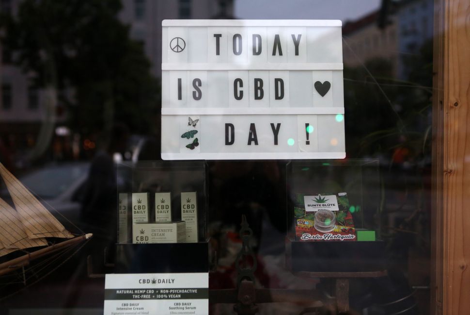 Web and social media search for CBD is at an all time high.