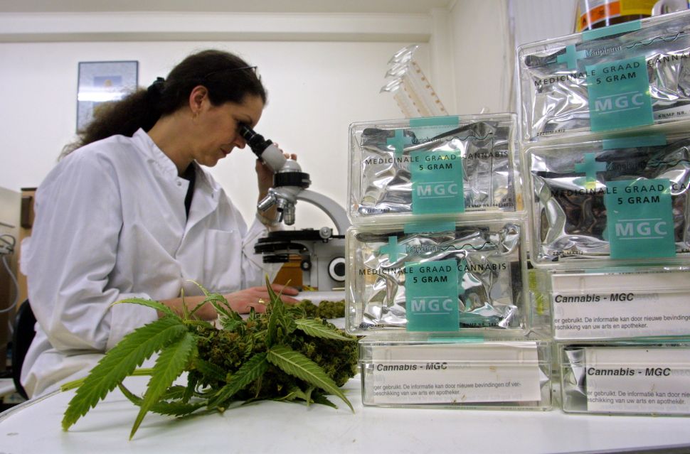 cannabis research