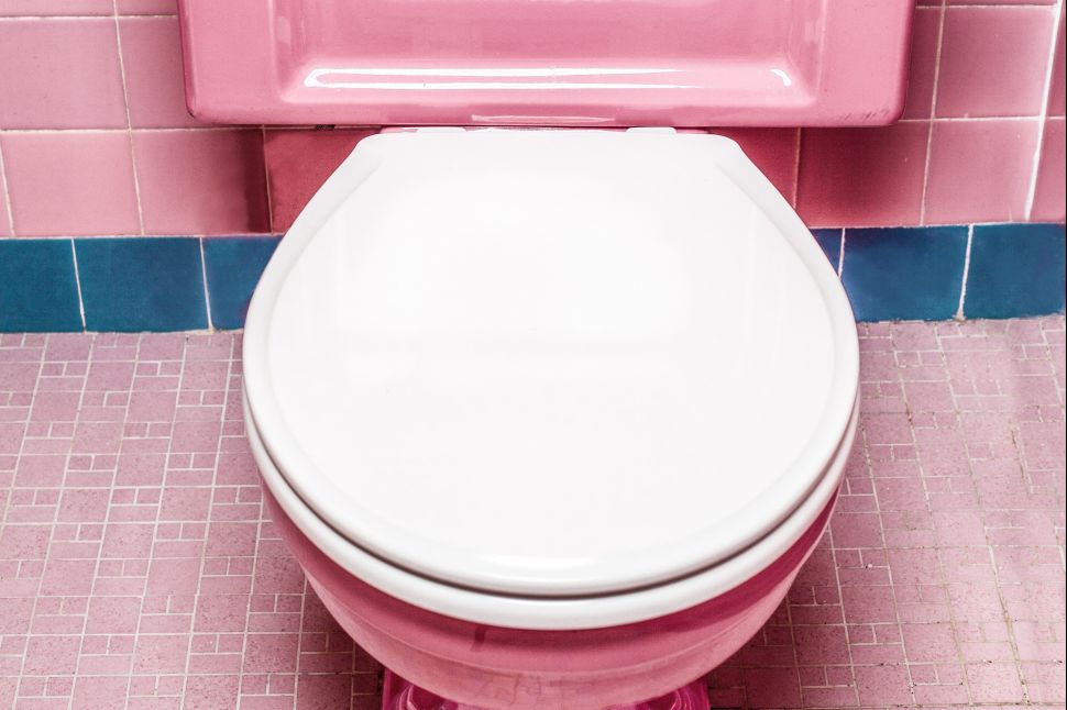 Poop science is the new frontier of artificial intelligence.