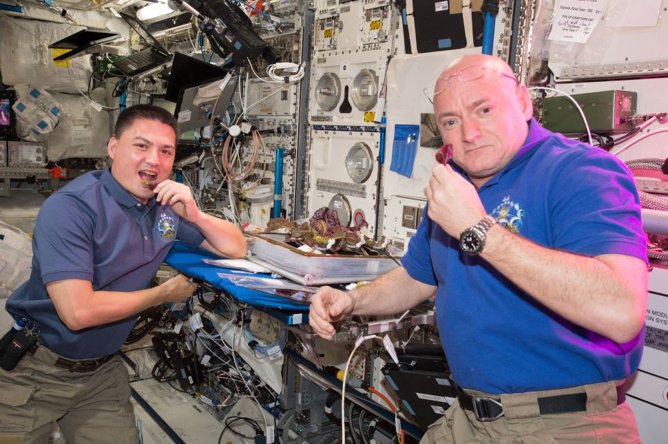 NASA astronauts Scott Kelly (R) and Kjell Lindgren