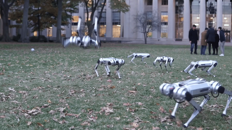 MIT's Mini Cheetah robot is capable of running, walking, jumping and turning.